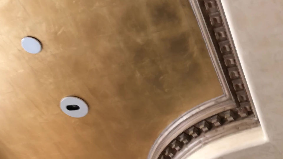 Gold Leaf Painted Ceiling